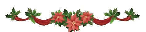 christmas-flowers-banner
